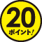 20ポイント