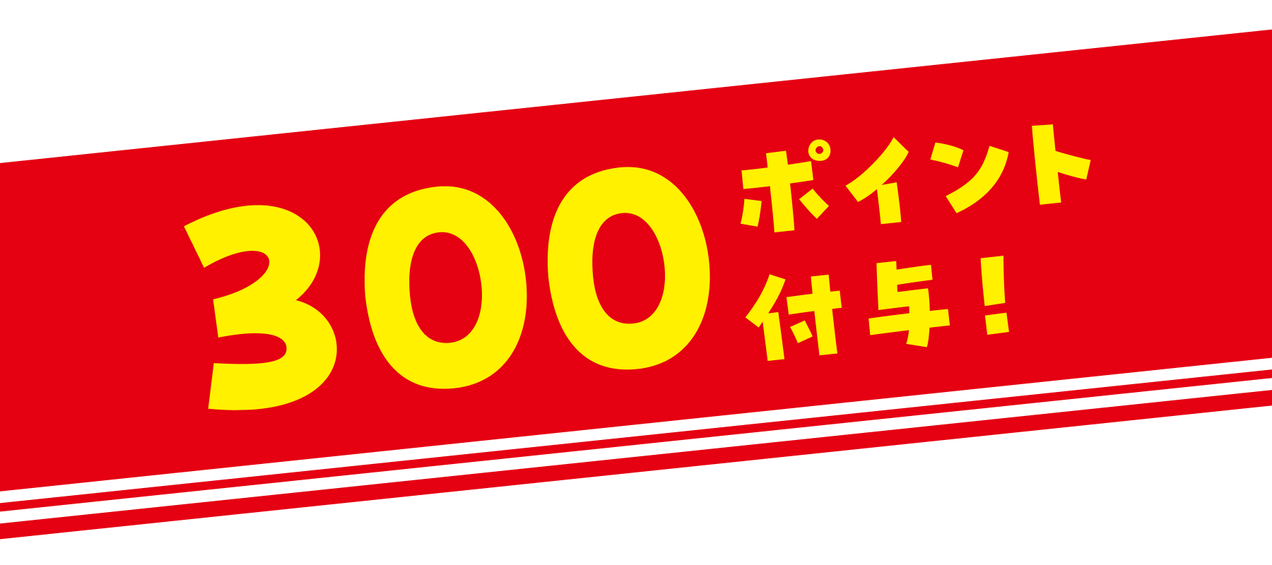 300ポイント付与