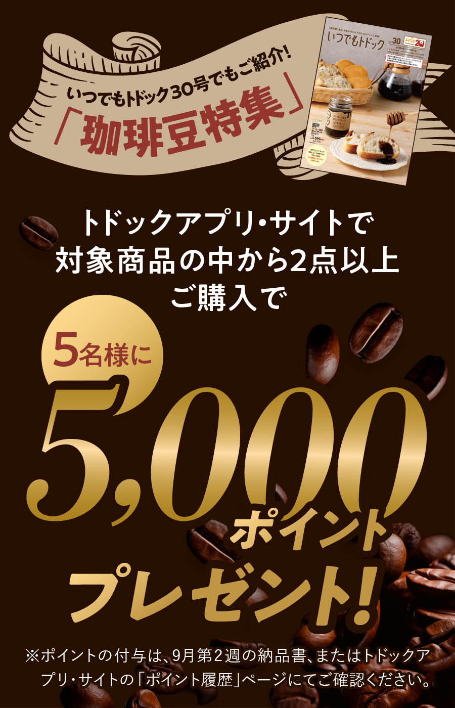 加藤産業 珈琲豆特集