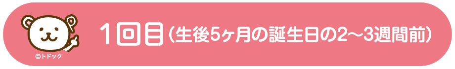 1回目 (お申込みから2週間前後)