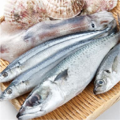 お魚