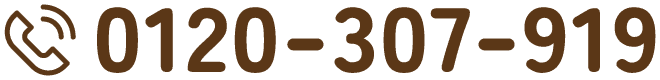 0120-307-919