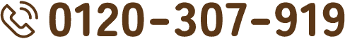 0120-307-919