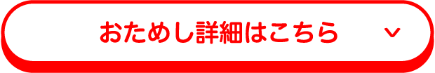 2038円相当プレゼント