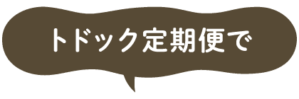 トドック定期便で