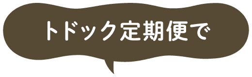 トドック定期便で