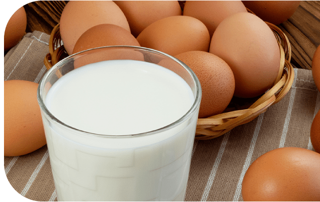 日常使いに欠かせない卵・牛乳など